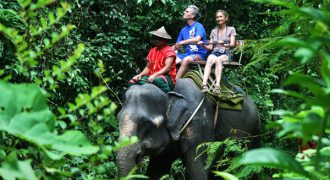 elephant-trekking-khao-sok