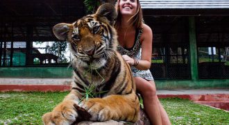 semplice-tiger-kingdom-phuket-9