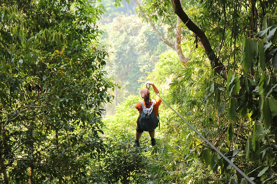 img_8863_gibbon_experience_ziplining_medium